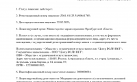 Блокада Боли Оренбург