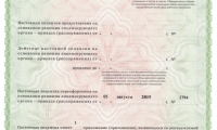 Медицинский центр Велнес Таун
